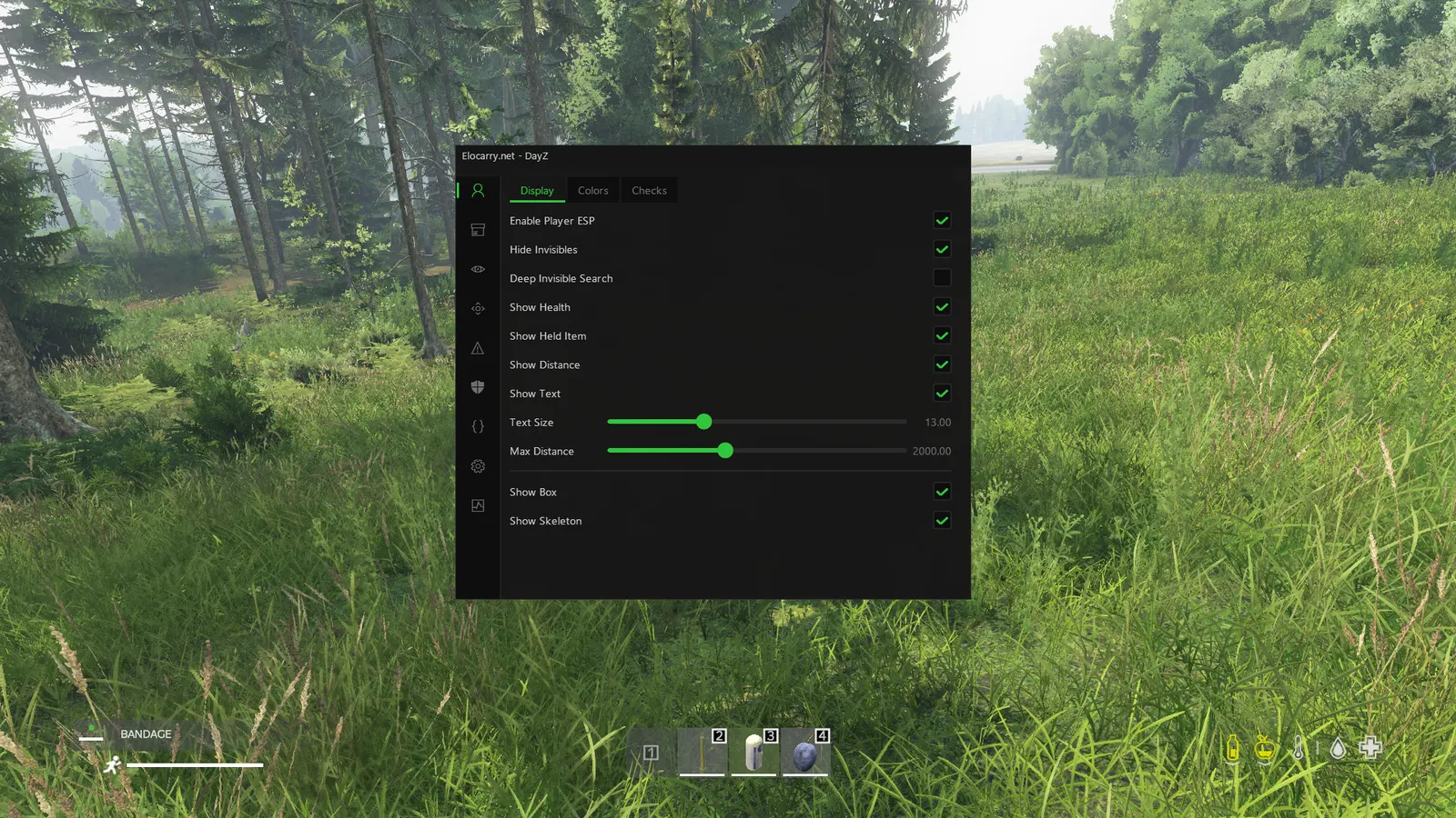 DayZ Wallhack — Player ESP