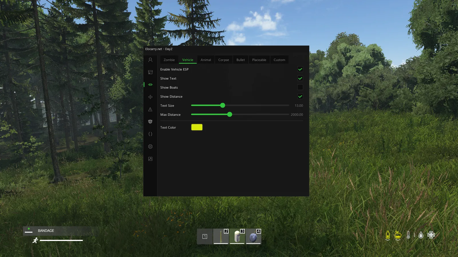 DayZ Wallhack — Vehicle ESP