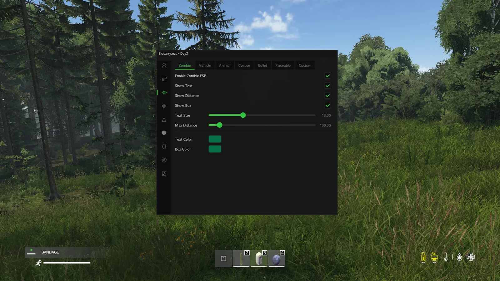 DayZ Wallhack — Zombie & animal ESP