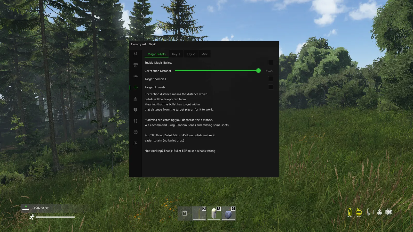 DayZ Magic Bullet — Magic bullet
