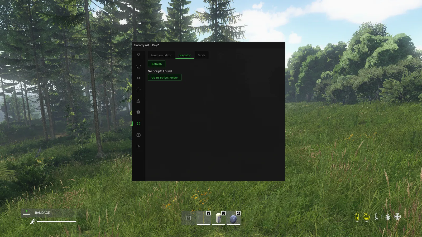DayZ cheat — Custom scripts
